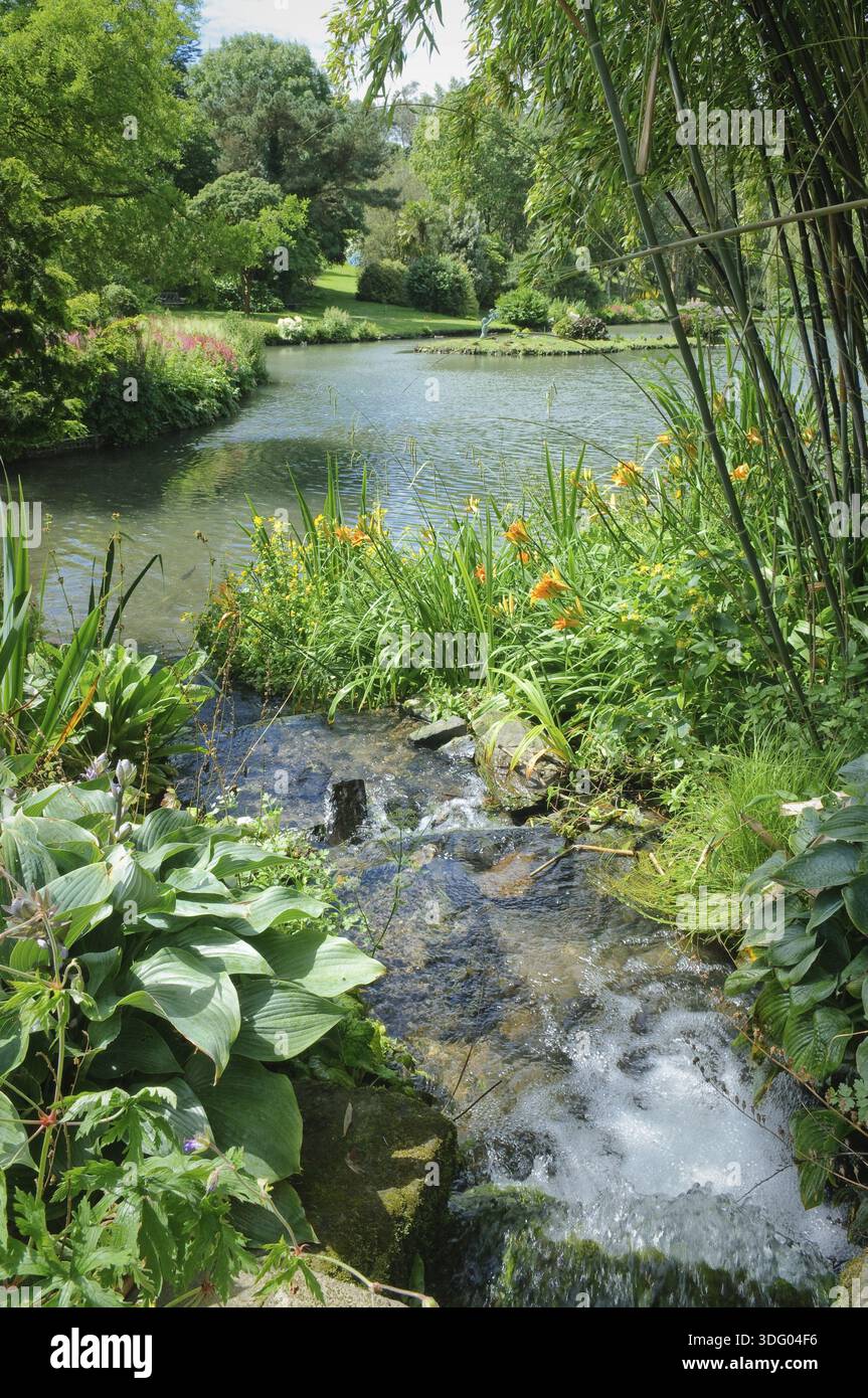 Garden stream and pondat Marwood Hill Gardens, Devon, UK Stock Photo ...