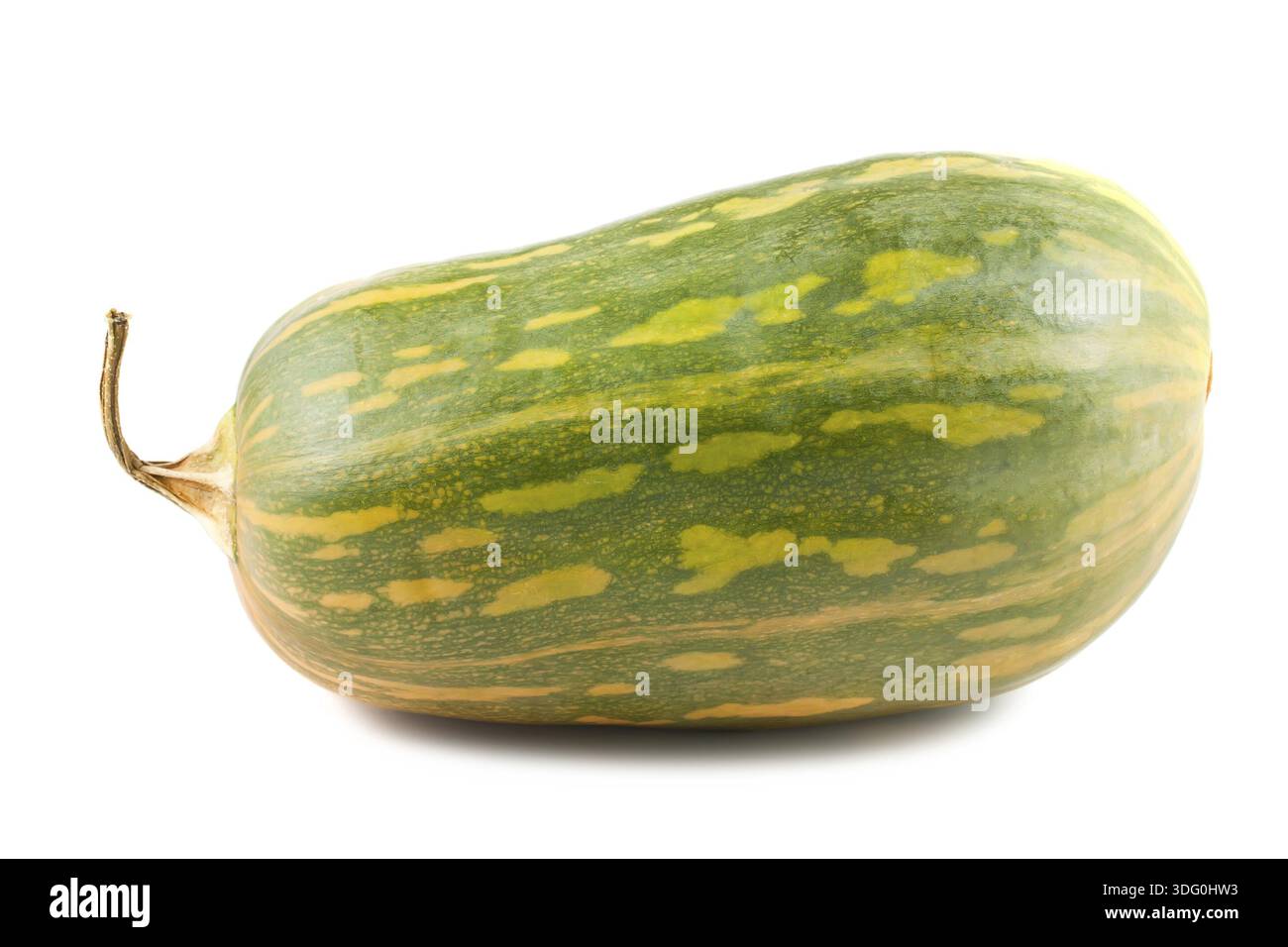 Green squash isolated on white background Stock Photo