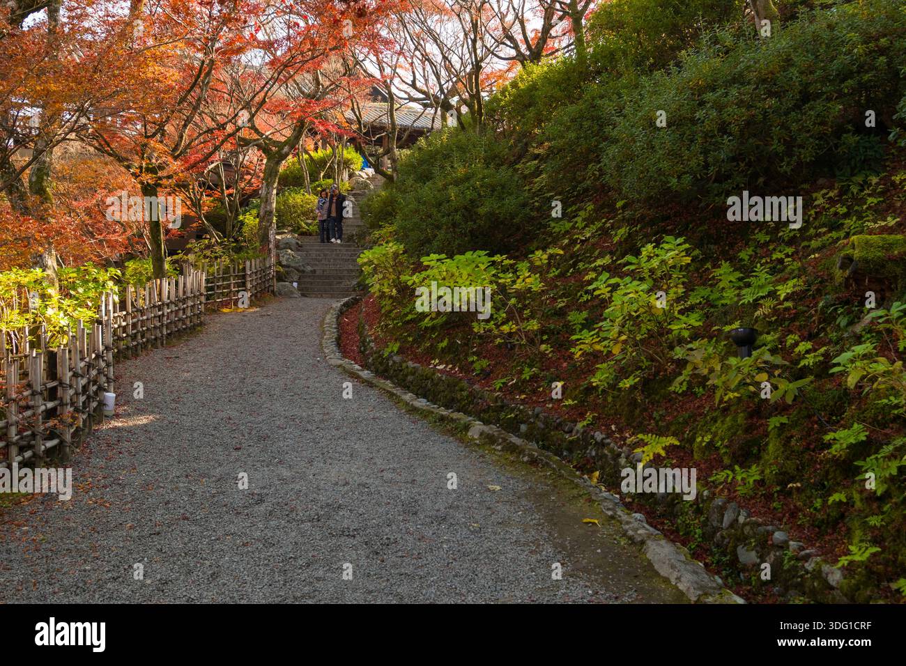 Tōfuku-ji Temple in Kyoto presents a serene pathway winding through ...