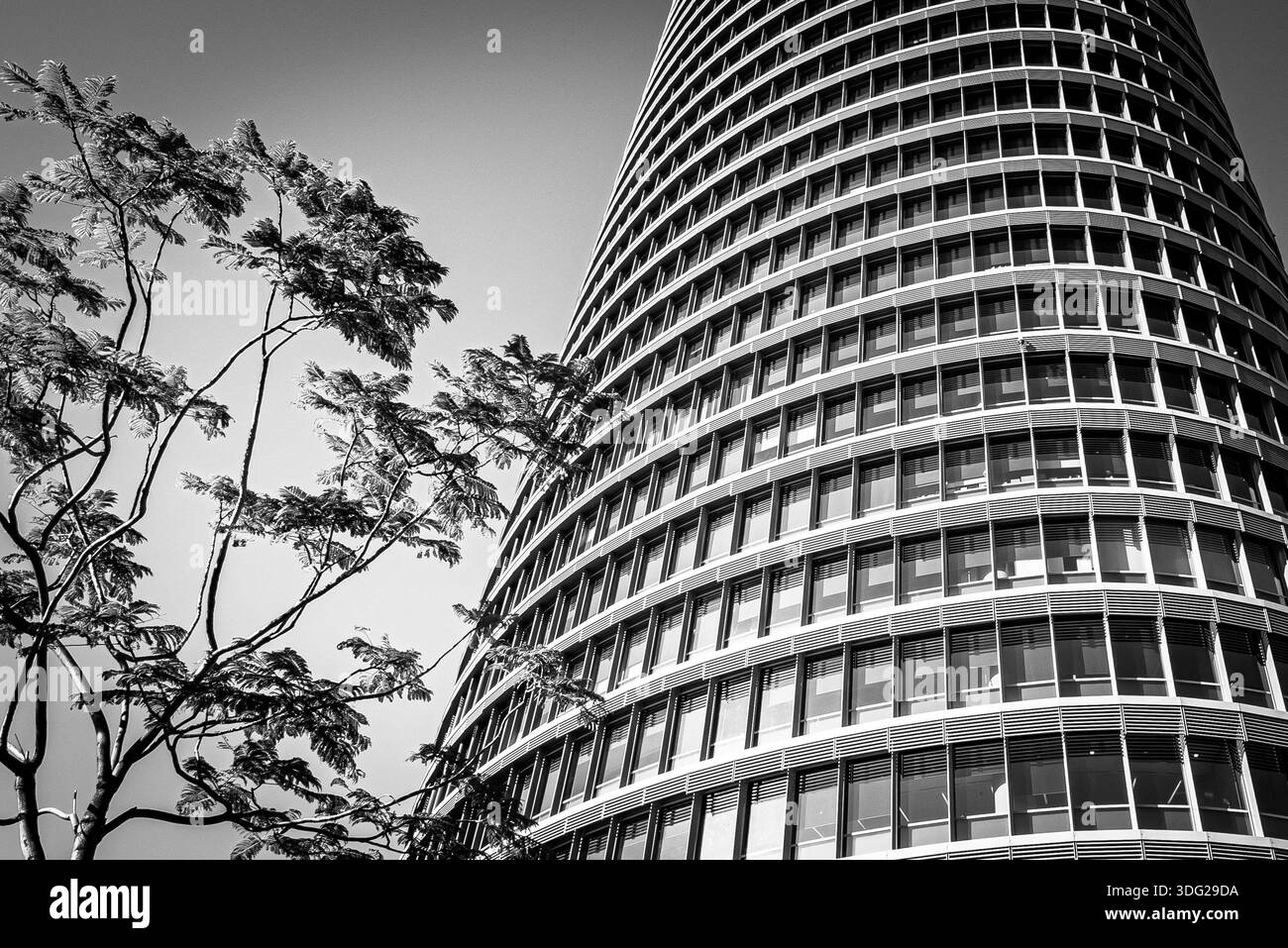 Curve Rd High Rise Building Facade of an office tower with tree Black and White Stock Photos ...