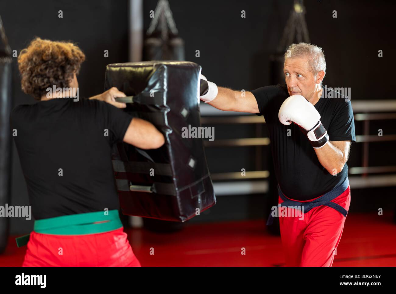 Senior man in boxing gloves punching shield during training Stock Photo