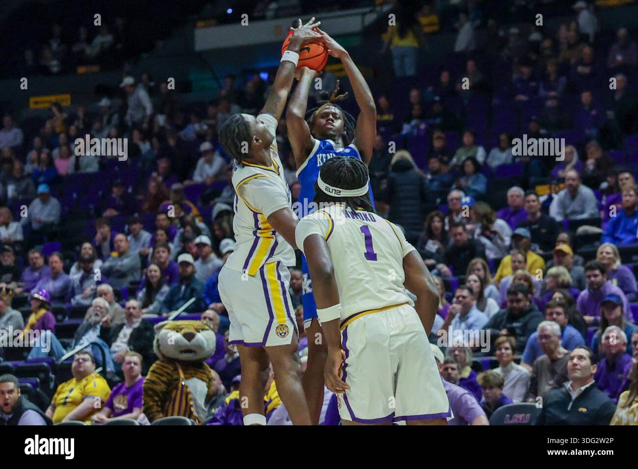 Baton Rouge, United States. 14th Jan, 2026. LSU Tigers guard Rashad ...