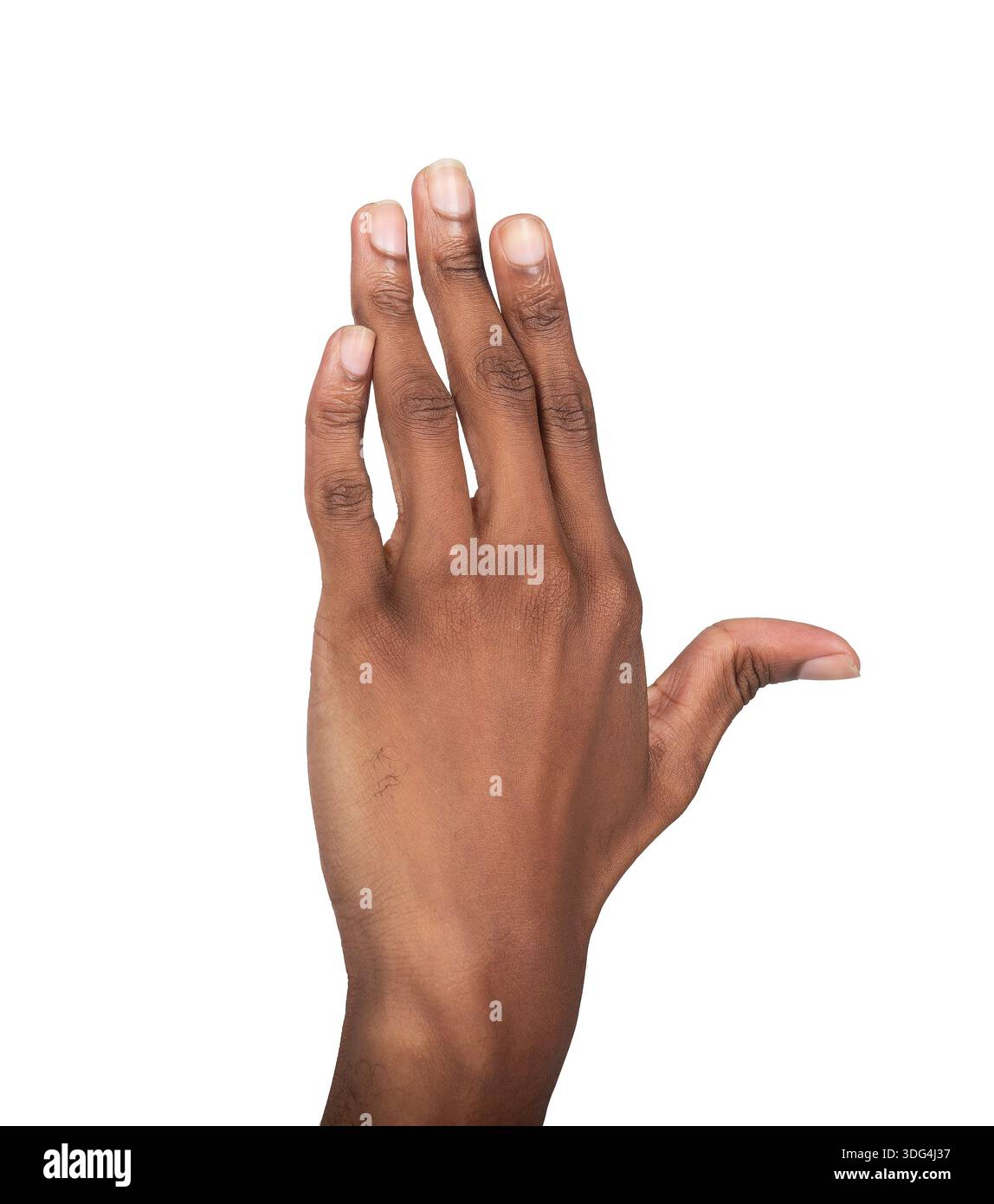 Hand with long fingers raised, stretched pose, gesture. Black man arm ...