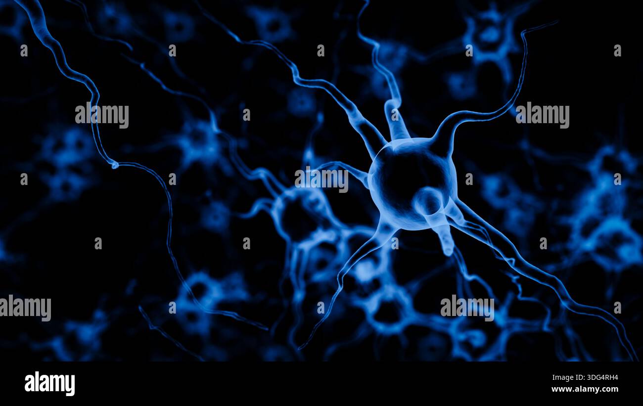 Human Brain Neurons Neural Network Science Concept. 3d rendering Stock Photo