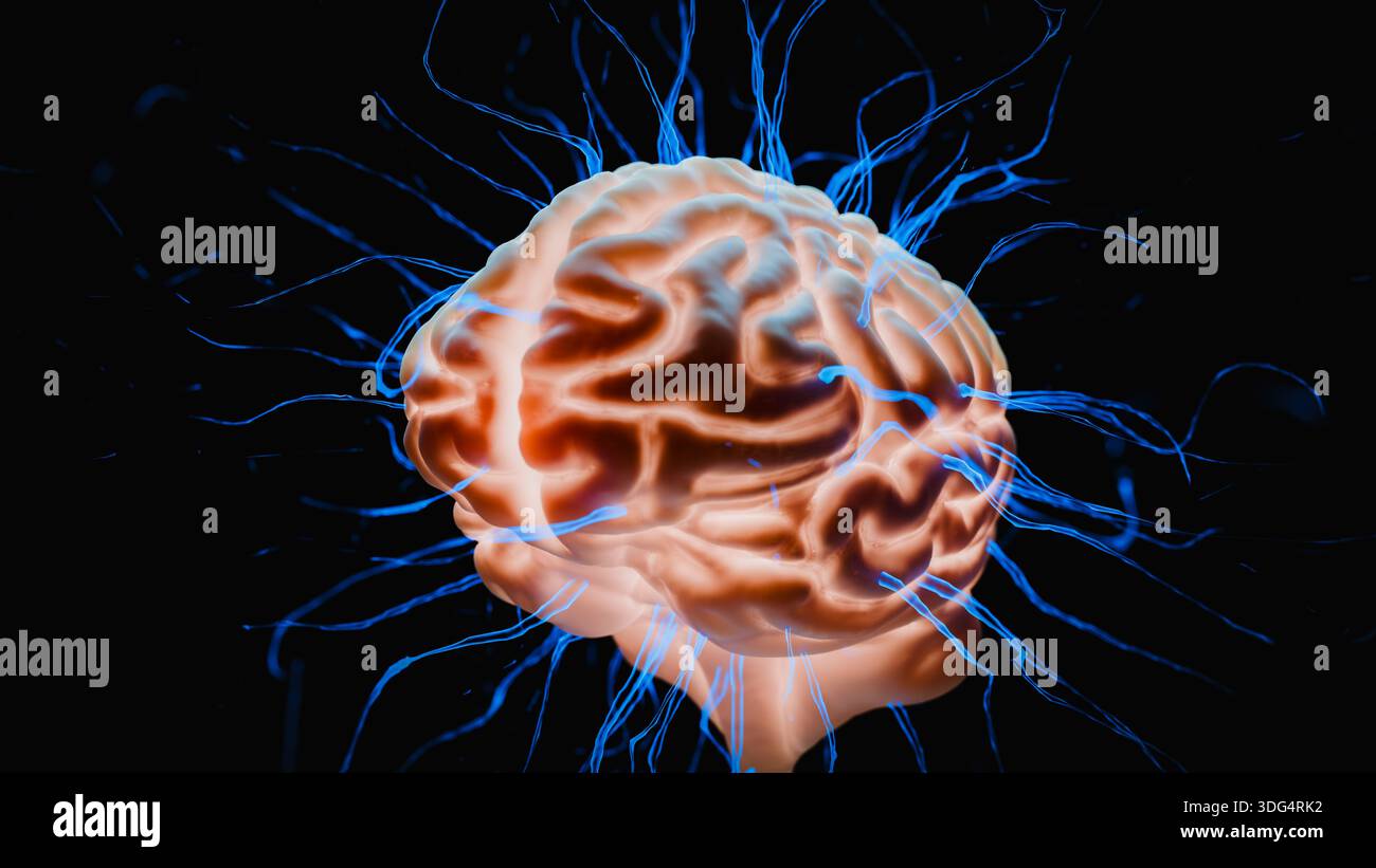 Human Brain Neural Network Intelligence Neuroscience Science. 3d ...