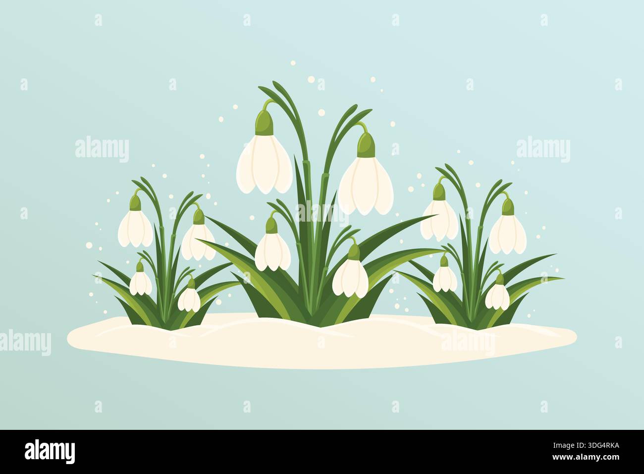 Spring snowdrops blooming in snow on blue background flat vector illustration. Stock Vector
