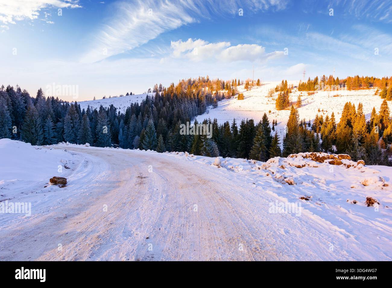 winter landscape with snow covered country road winding through fir forest in carpathian mountains. alpine countryside of ukraine. remote place for ou Stock Photo