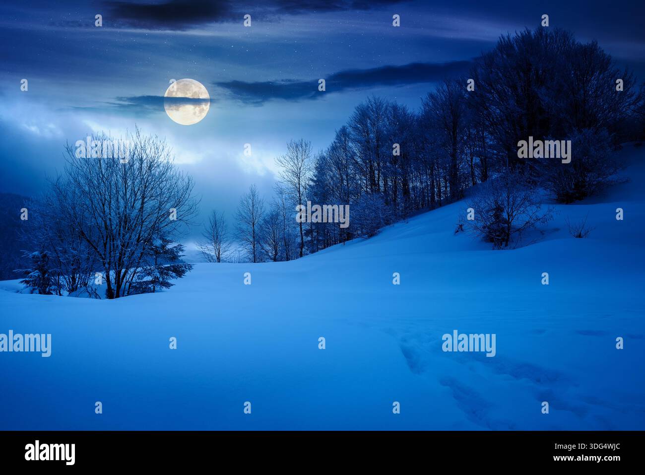 gorgeous winter landscape in mountains at night. beautiful trees in hoarfrost on snow covered hill in full moon light. glowing overcast sky. inner str Stock Photo