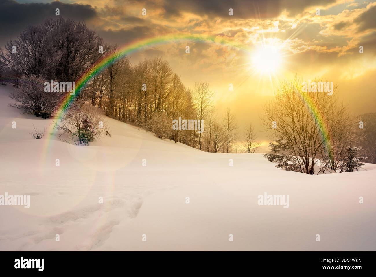 gorgeous winter landscape in mountains at sunset. beautiful trees in hoarfrost on snow covered hill in evening light. glowing overcast sky above the r Stock Photo