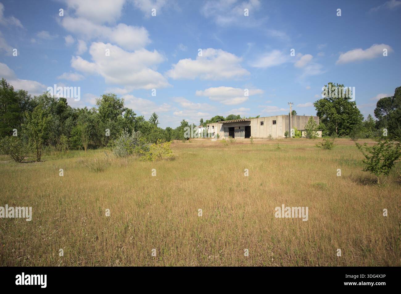Dry Tree Compound Compound yard hi-res stock photography and images - Alamy