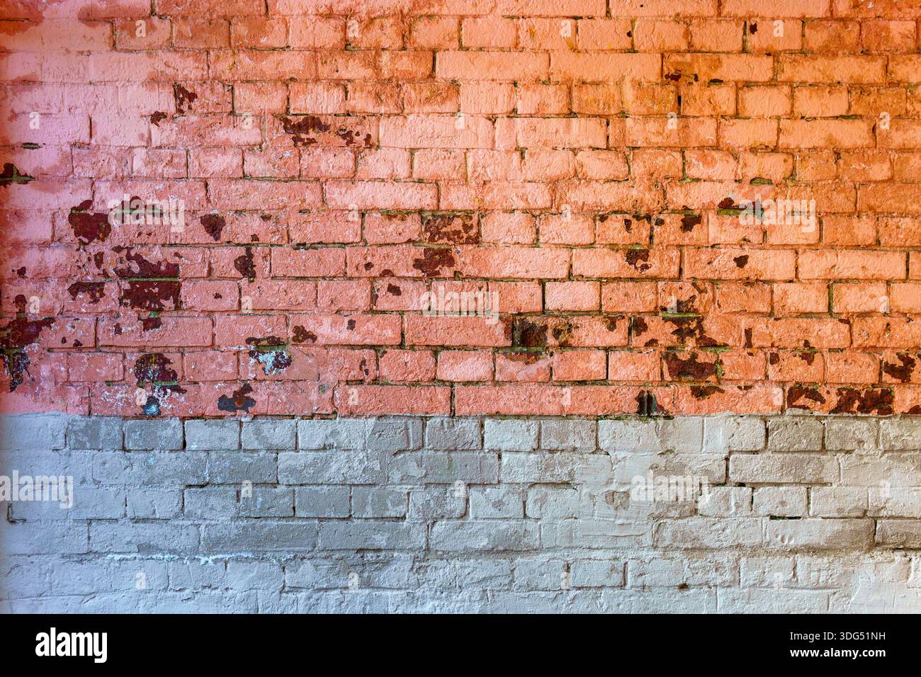 Old crumbling red brick wall half painted white. Abstract vintage background. Stock Photo