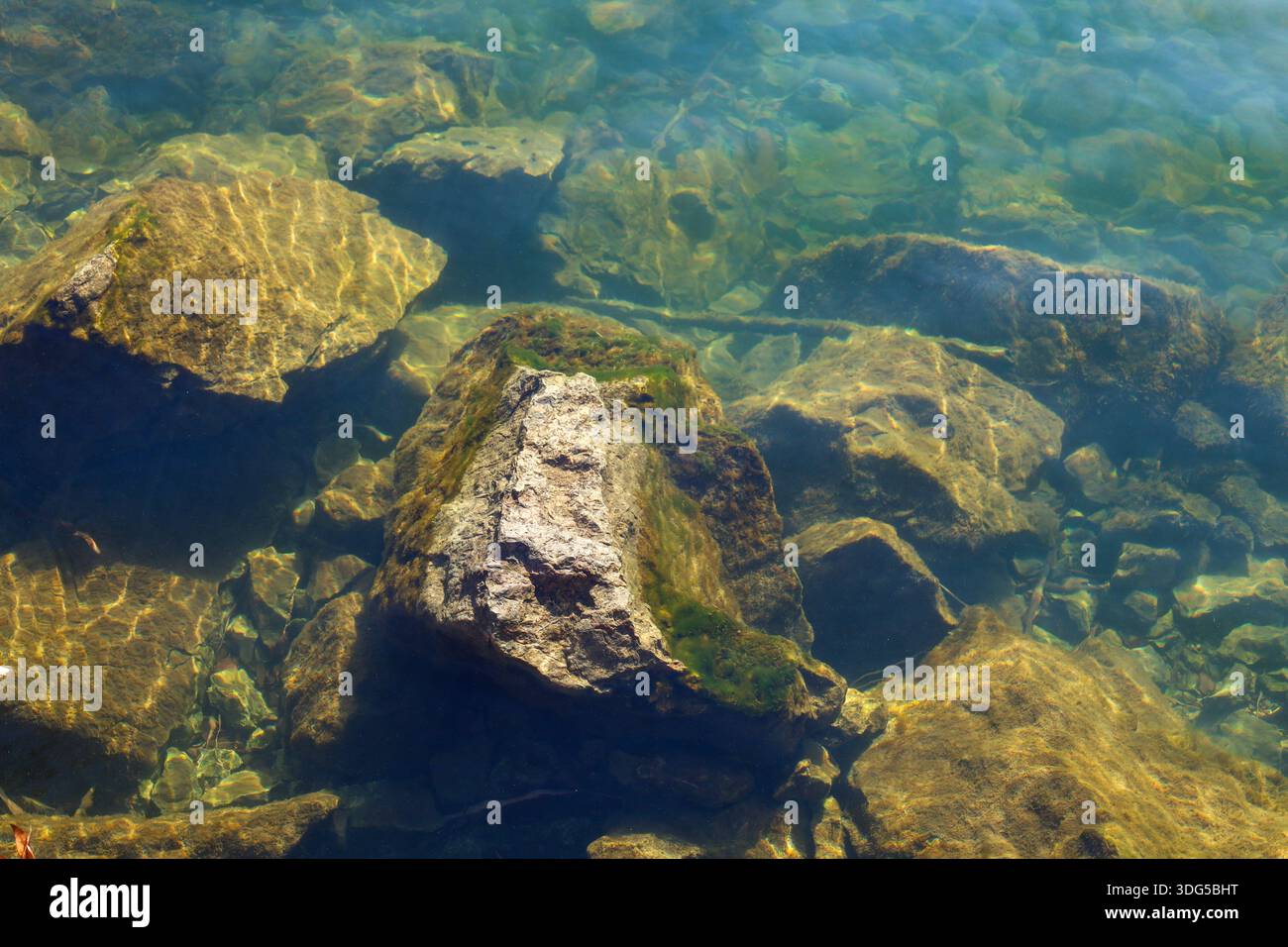 Alge Plus Rocks Algae patterns on water hi-res stock photography and images - Alamy