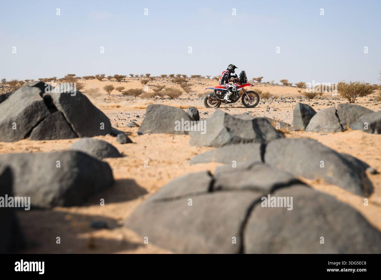85 CAMPBELL Preston (usa), Honda HRC Junior Team, Honda, Rallye 2, FIM ...