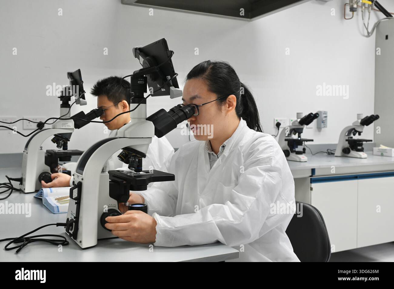 A general view showing the staff working in the lab of Government ...