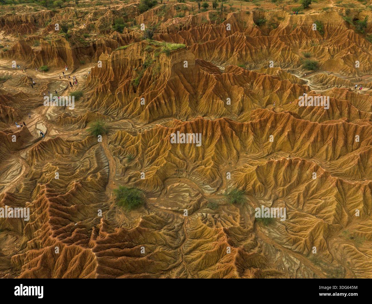 Aerial view of dramatic orange and brown desert canyon landscape with ...