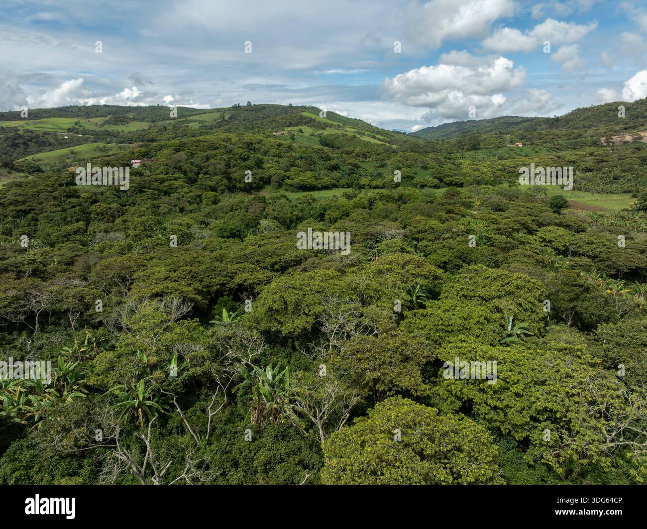 Lush green forest with rolling hills under a partly cloudy blue sky ...