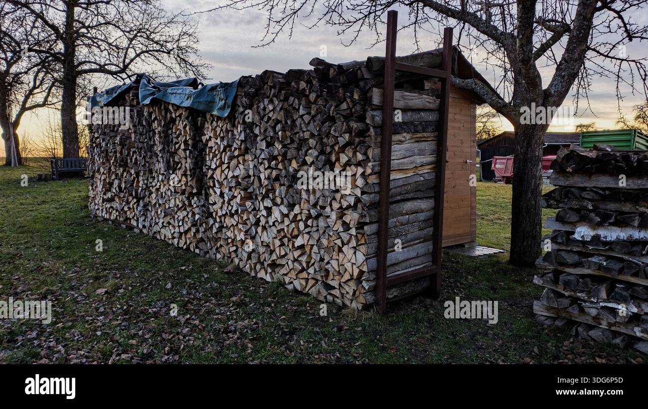 A neatly stacked pile of firewood made from natural wooden logs, showing rich texture and warm earthy tones. - Smartphone Captured Stock Image