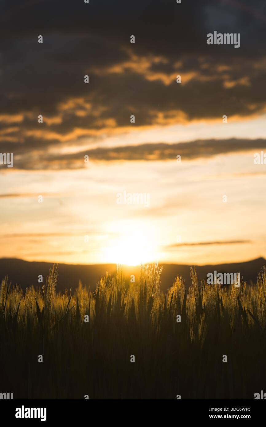 Radiant sun rays hi-res stock photography and images - Alamy