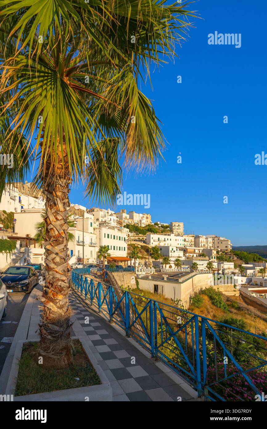 Peschici, Foggia, Apulia, Italy Stock Photo