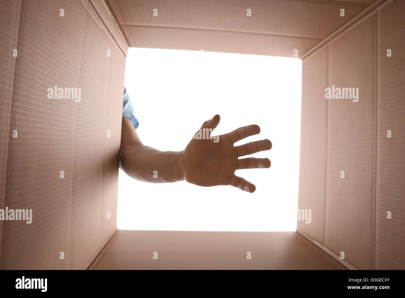 Man reaching into cardboard box against white background, closeup. View from inside package Stock Photo