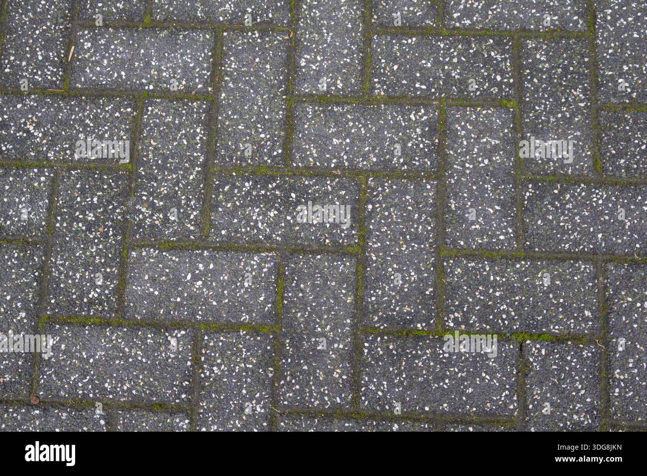 Gray concrete paving stone texture with rectangular pattern, white aggregate and moss between joints. Stock Photo