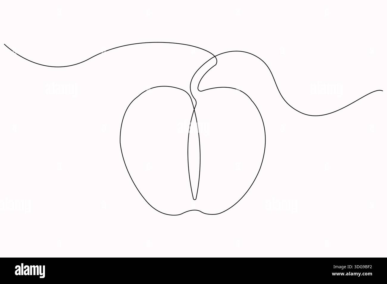 Apple organic shape one line drawing outline style Stock Vector