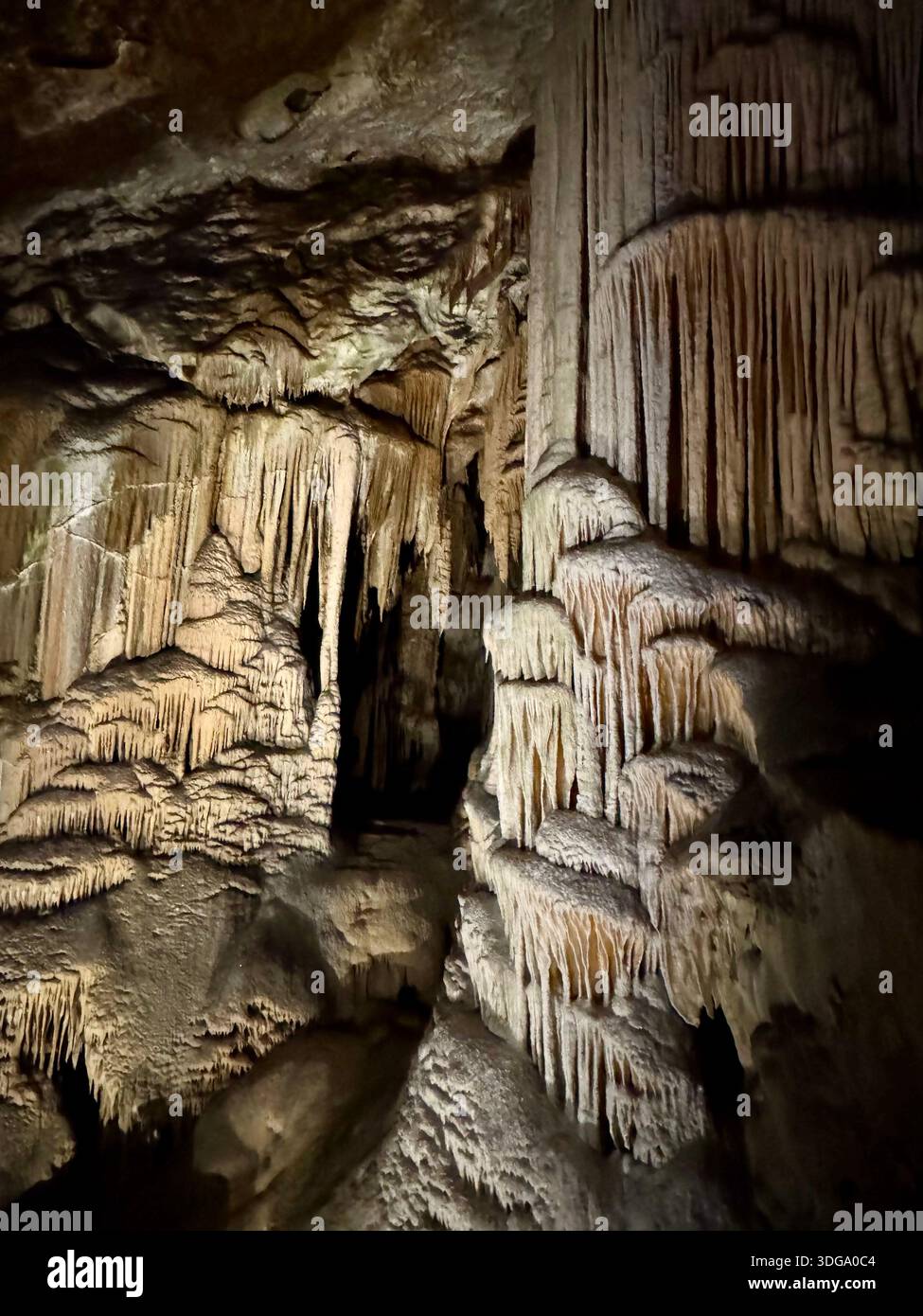 Illuminated stalactites and stalagmites inside Postojna Cave, Slovenia - Smartphone Captured Stock Image