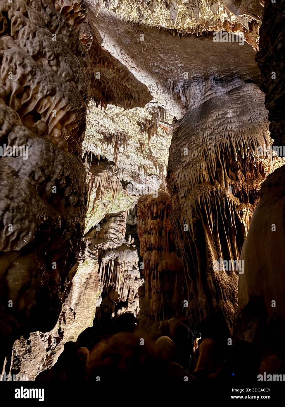 Illuminated stalactites and stalagmites inside Postojna Cave, Slovenia - Smartphone Captured Stock Image