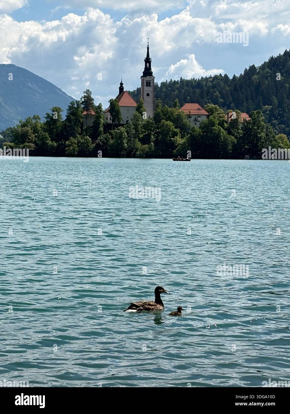 Turquoise waters, forested hills, and alpine peaks complete this iconic Slovenian landscape. - Smartphone Captured Stock Image