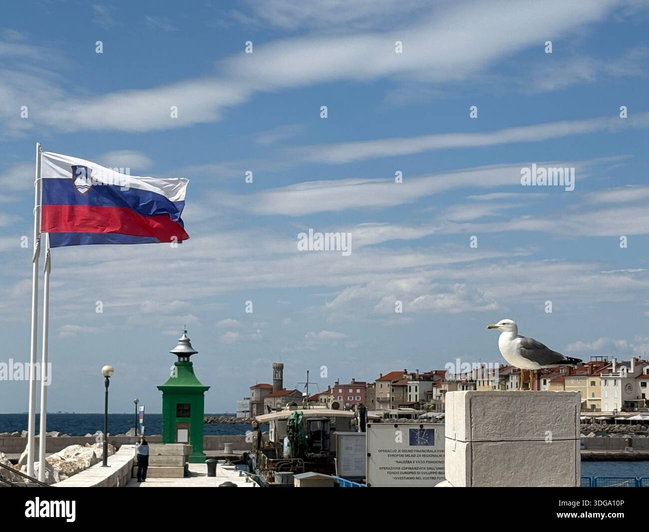 Slovenian flag, seagull, and green lighthouse in scenic coastal view of Piran with red-roofed town - Smartphone Captured Stock Image
