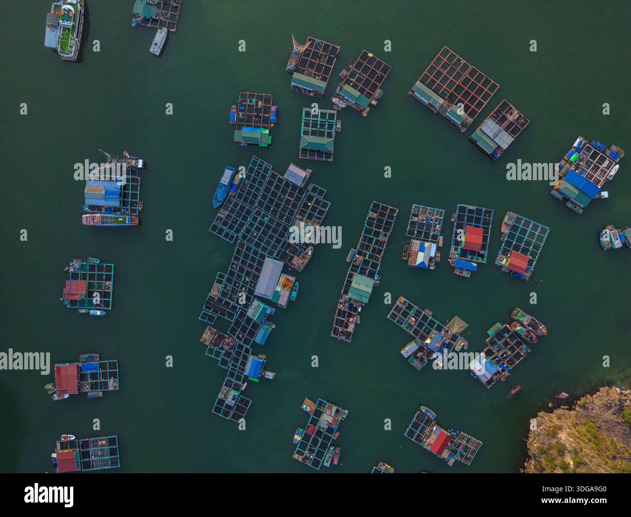 Aerial view of floating fish farms create a grid-like pattern on the ...