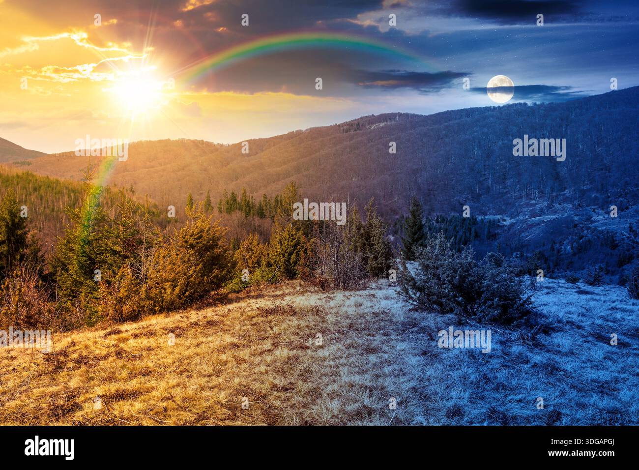 day and night time change concept. tree stumps on rolling hills with sun and moon. forest clearing. deforestation landscape under blue sky. duality an Stock Photo