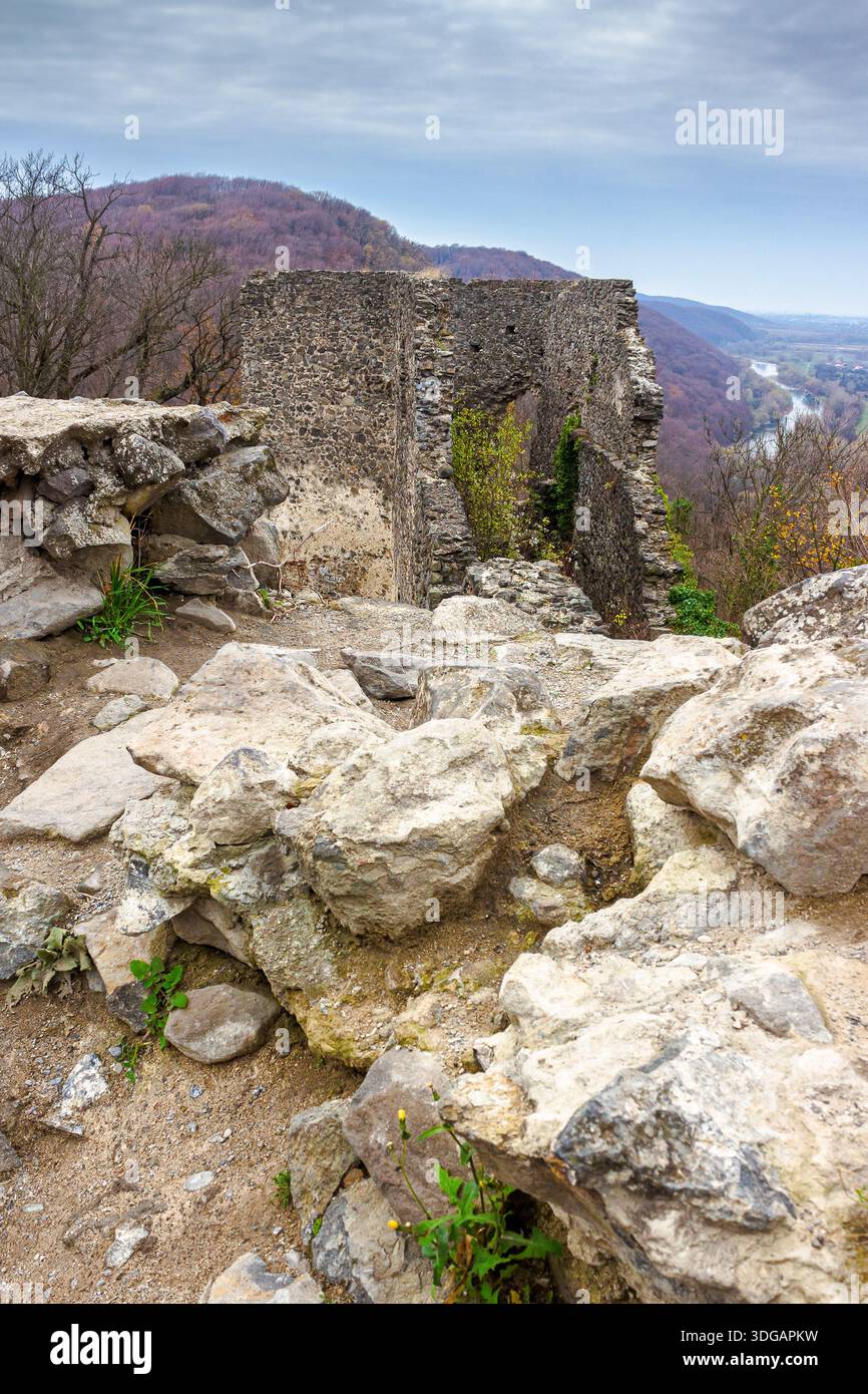 nevytske, ukraine - 16 nov, 2013: medieval castle ruins in transcarpathia region of ukraine. ancient stone fortress architecture on a cloudy day. trav Stock Photo