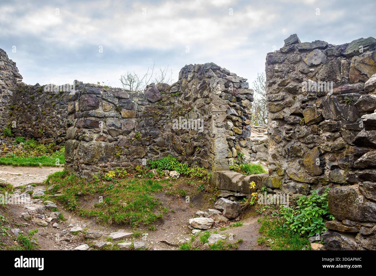 nevytske, ukraine - 16 nov, 2013: medieval castle ruins in transcarpathia region of ukraine. ancient stone fortress architecture on a cloudy day. trav Stock Photo