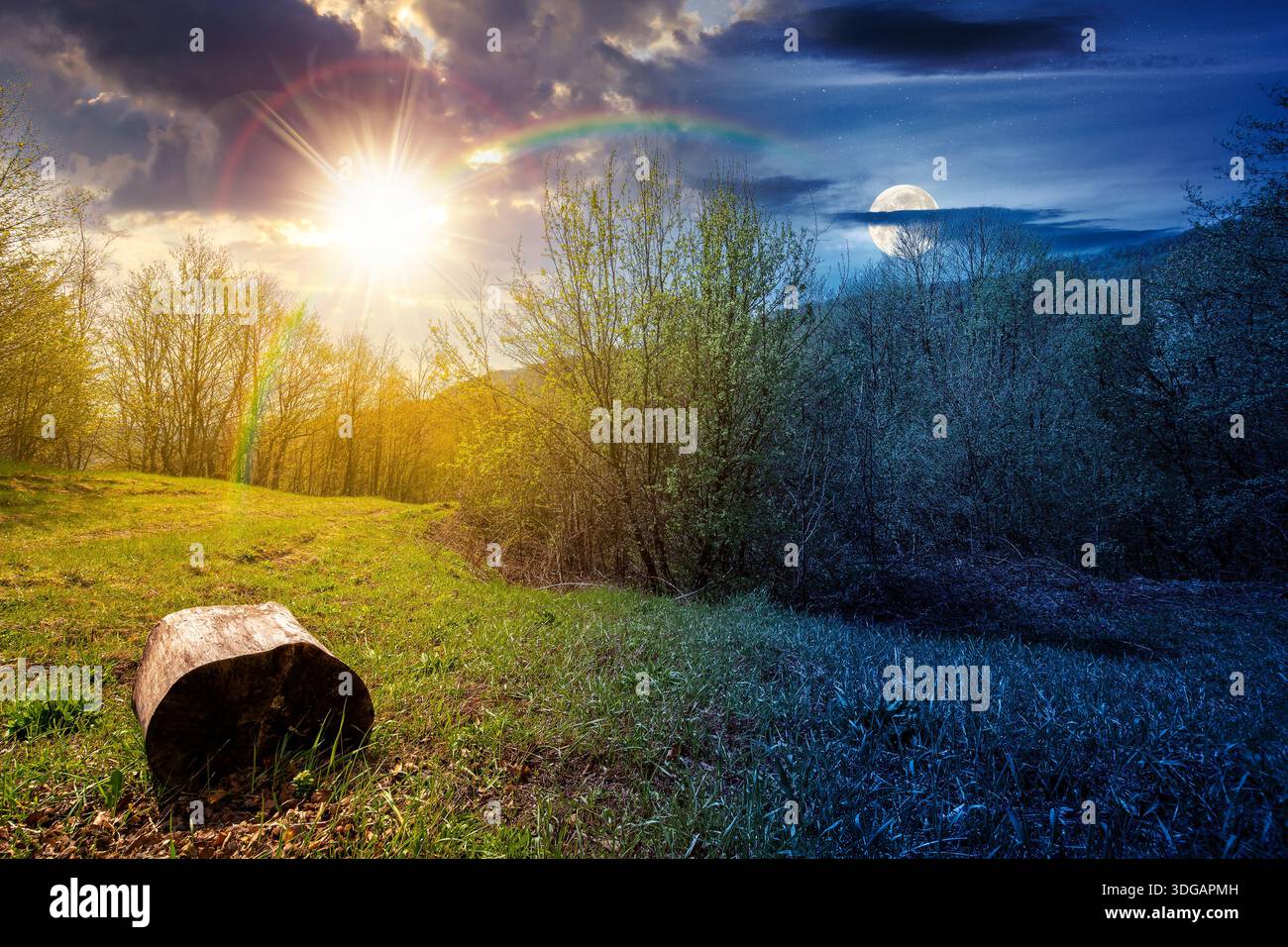 mountain landscape with green grass on forest glade in spring. day and night time change concept. beautiful nature scenery with beech trees under sky Stock Photo