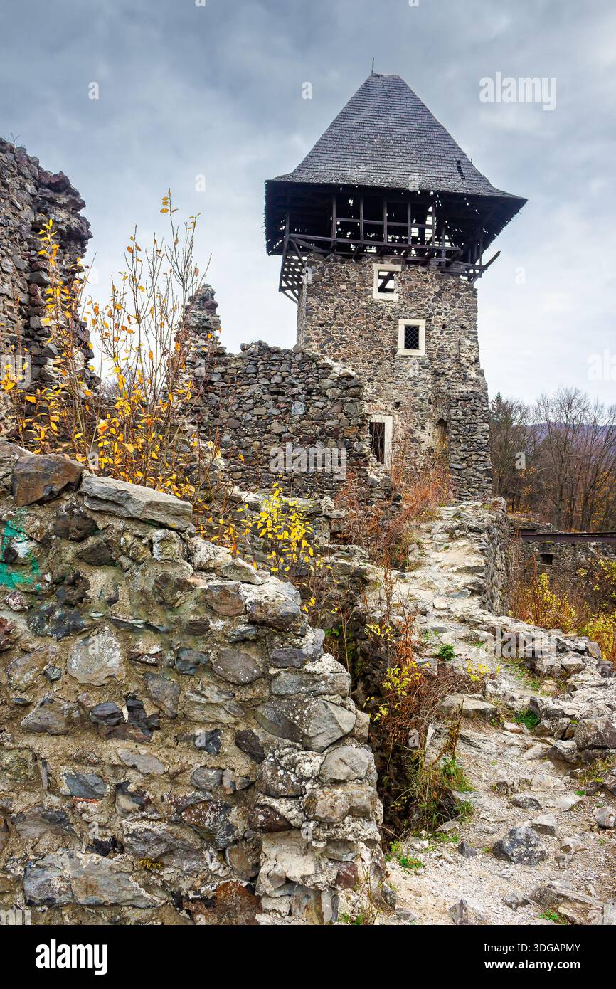 nevytske, ukraine - 16 nov, 2013: medieval castle ruins in transcarpathia region of ukraine. ancient stone fortress architecture on a cloudy day. trav Stock Photo
