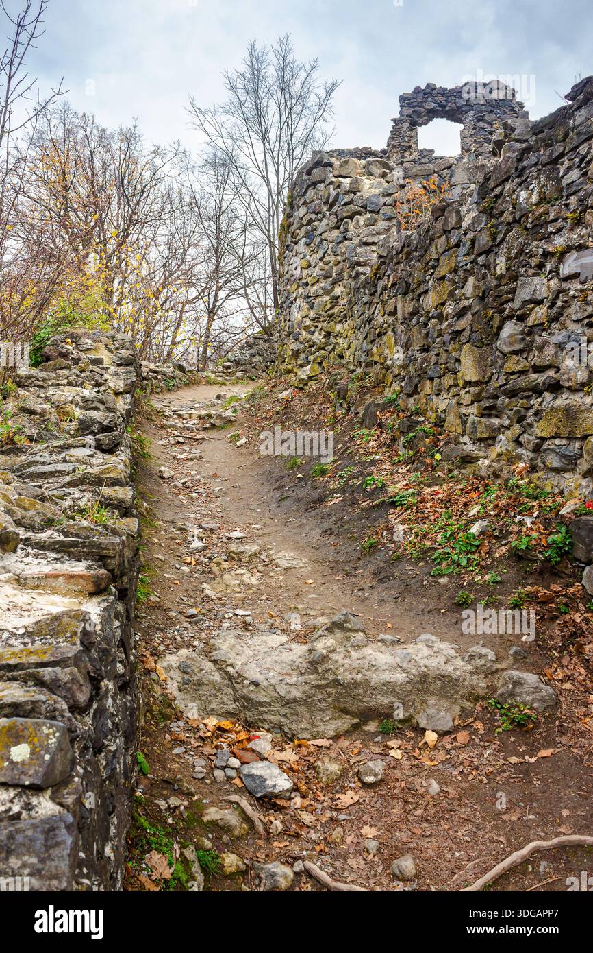 nevytske, ukraine - 16 nov, 2013: medieval castle ruins in transcarpathia region of ukraine. ancient stone fortress architecture on a cloudy day. trav Stock Photo
