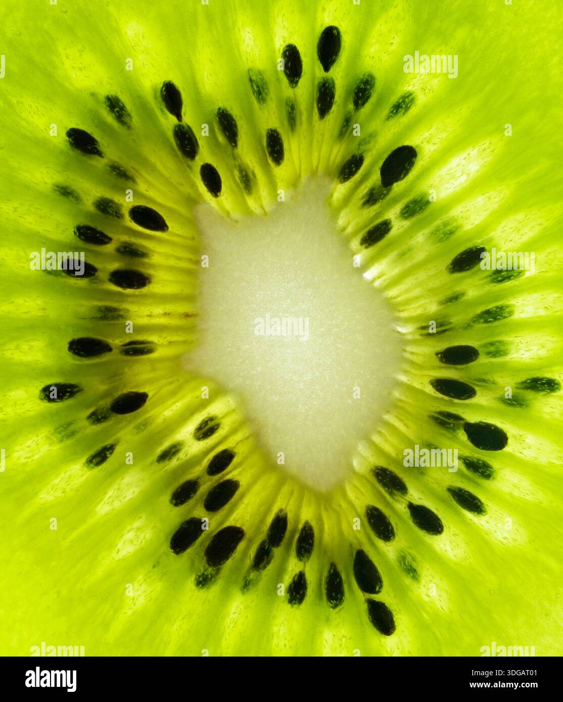 Kiwi Fruit close up Stock Photo