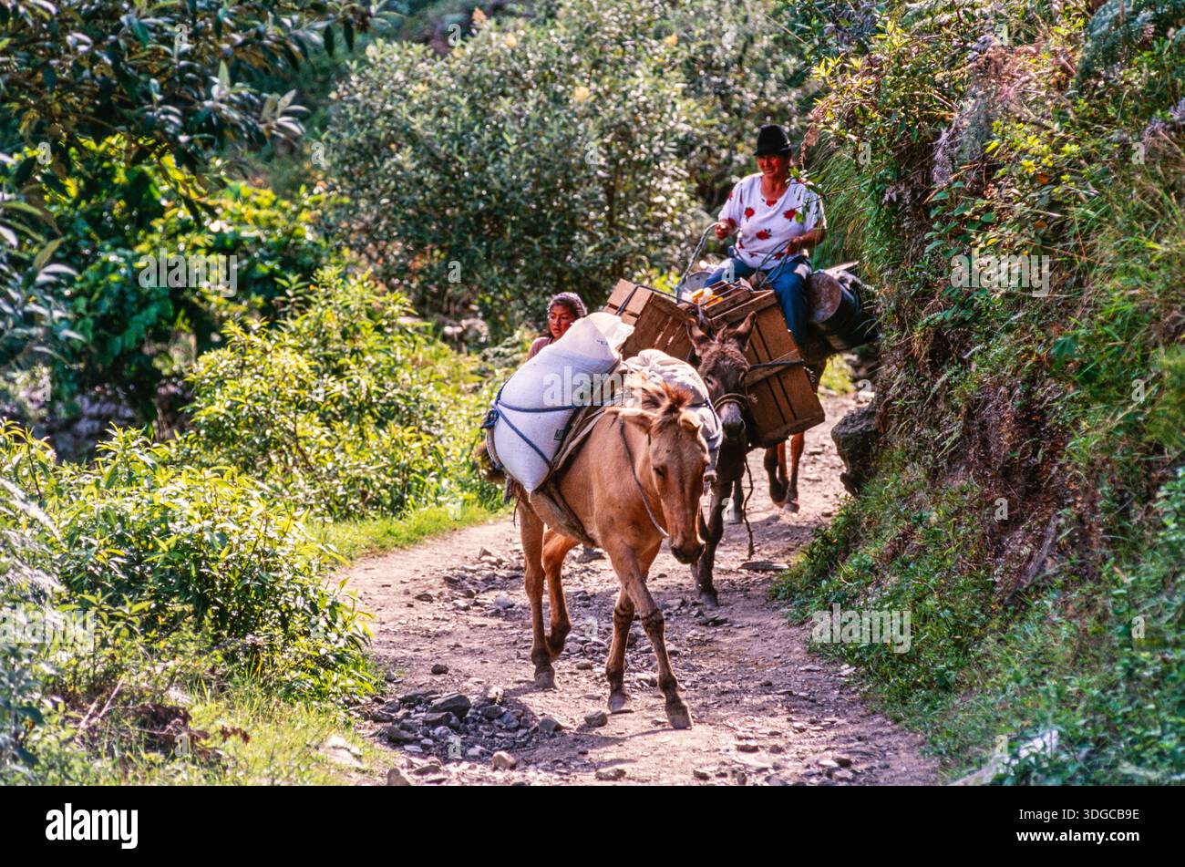 Donkey riding rider hi-res stock photography and images - Alamy