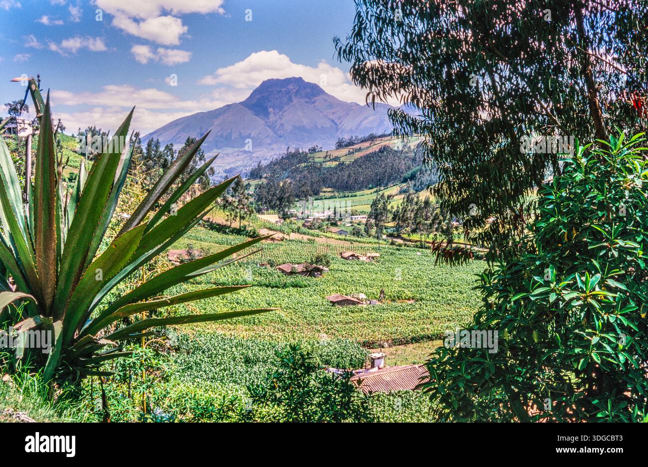 Small scale farms Stock Photo