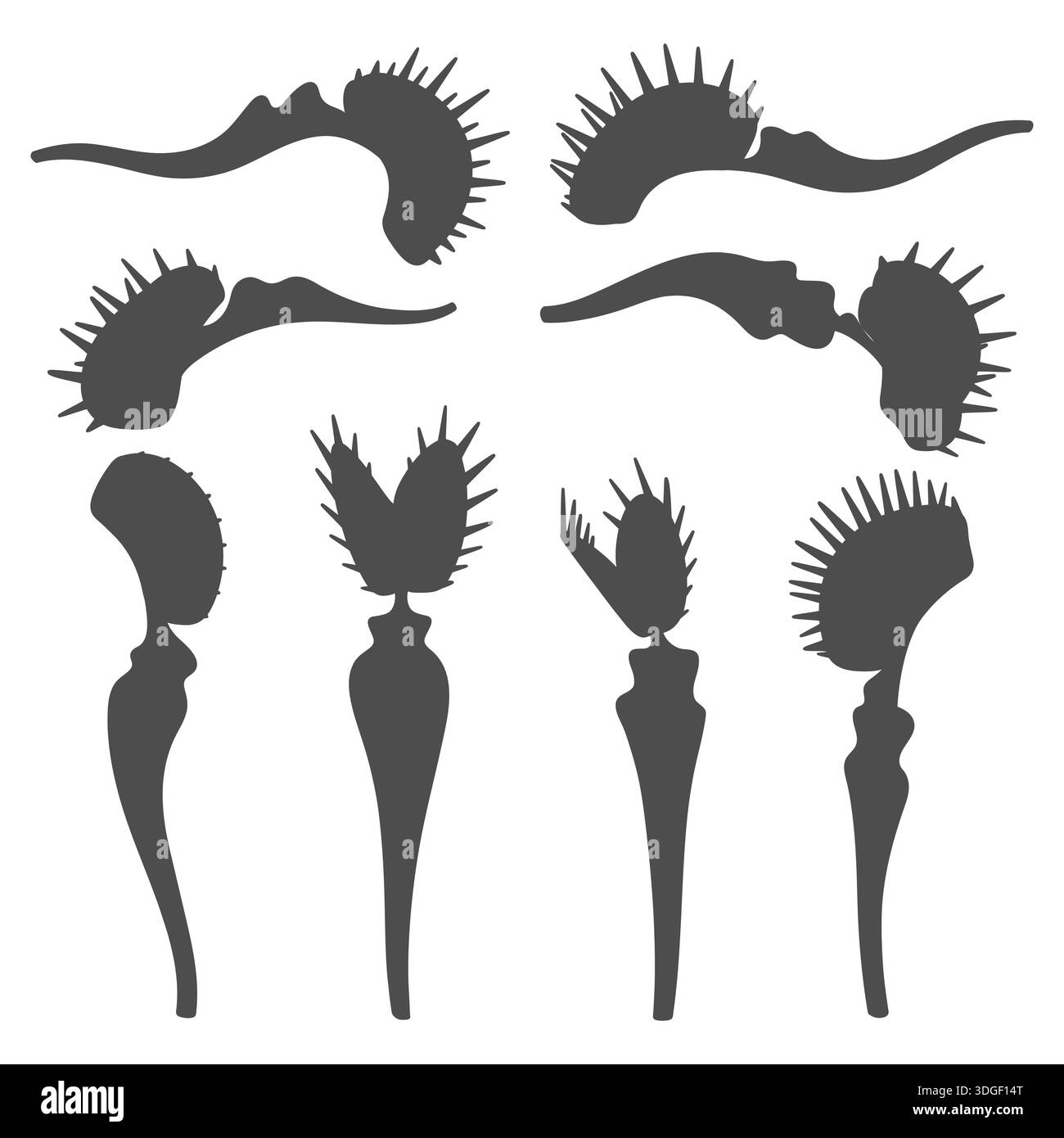 Set of black and white illustrations of venus flytrap. Isolated vector ...