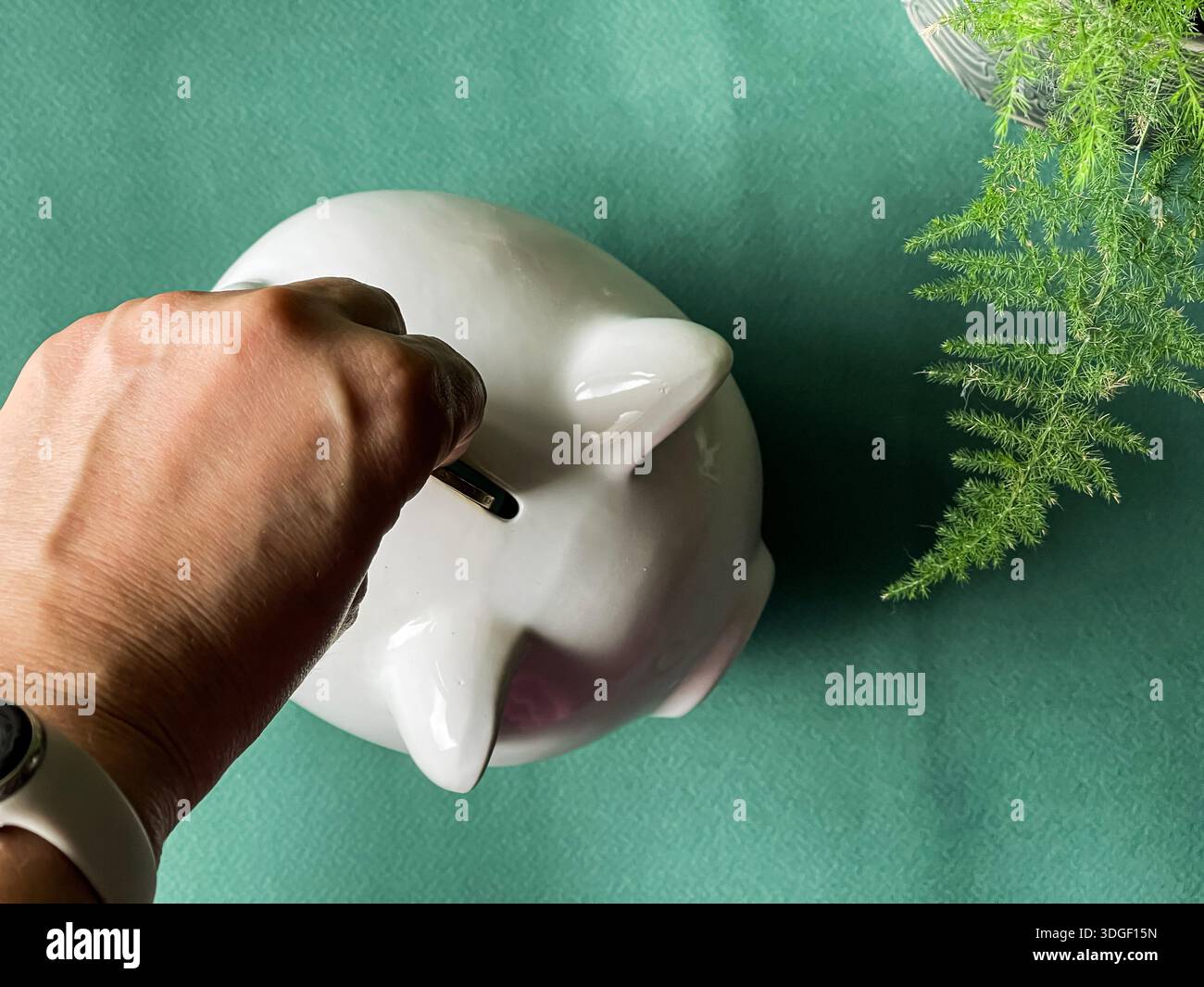 White piggy bank with coins , concept of saving, investment and financial planning. - Smartphone Captured Stock Image
