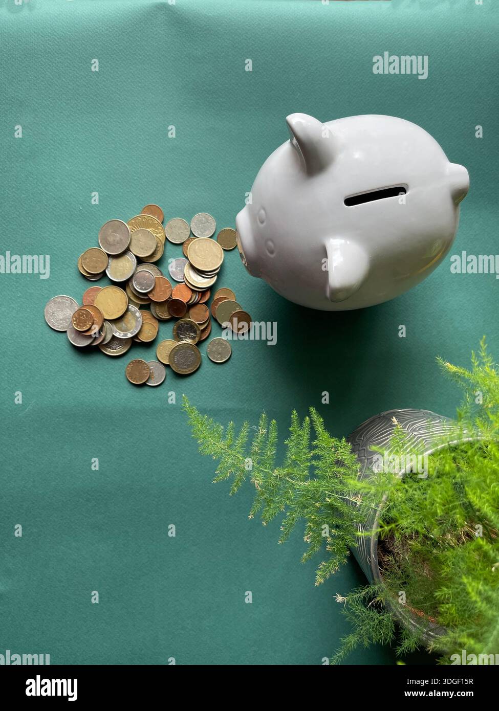 White piggy bank with coins , concept of saving, investment and financial planning. - Smartphone Captured Stock Image