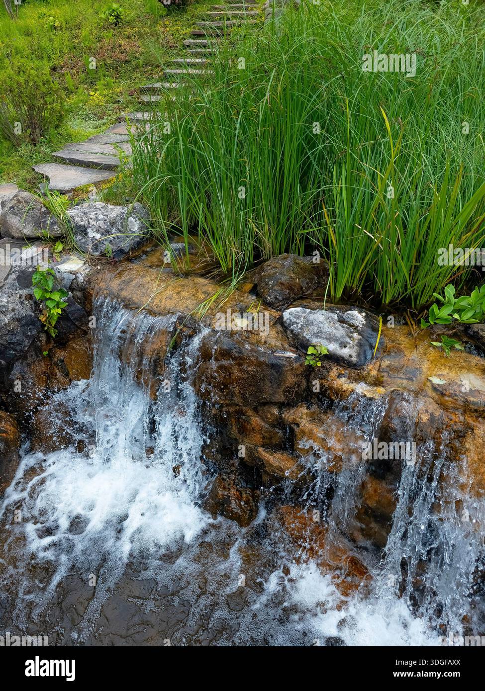 A close-up of a small artificial waterfall in a garden landscape, with water cascading over stone tiers, surrounded by vibrant green grass and lush pl - Smartphone Captured Stock Image