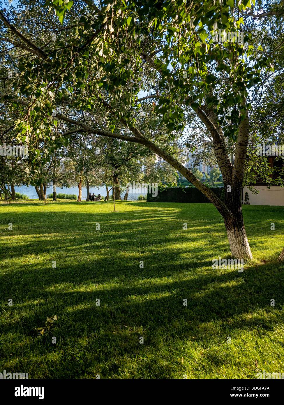 Kyiv, Ukraine - Jun 27, 2025: People enjoy a picnic on the lush green bank of Sonyachne Lake, with trees casting shadows over the grass. - Smartphone Captured Stock Image