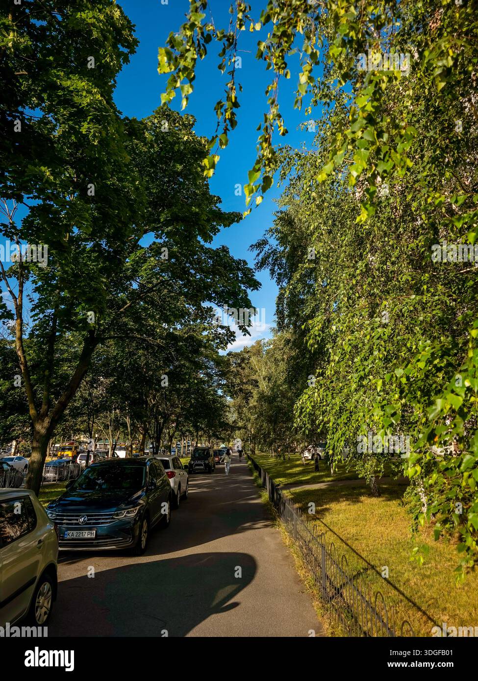 Kyiv, Ukraine - Jun 27, 2025: A sidewalk on Kravchuka Street lined with parked cars and broadleaf maple trees and birch trees, with a well-maintained - Smartphone Captured Stock Image