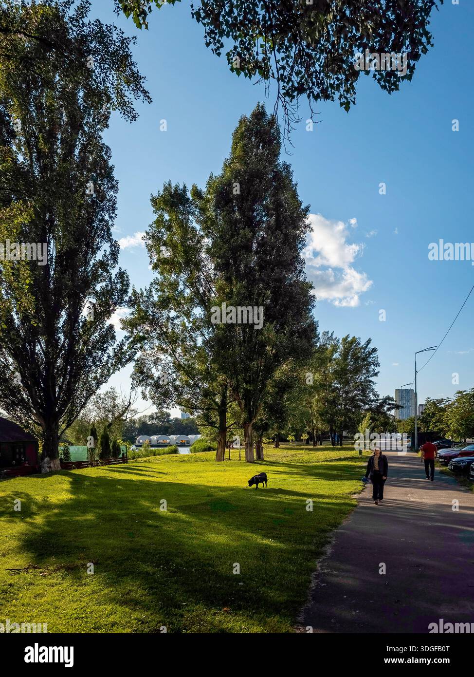 Kyiv, Ukraine - Jun 27, 2025: A sidewalk on Revutsky Street with parked cars and streetlights, a well-maintained lawn with tall trees near Sonyachne L - Smartphone Captured Stock Image