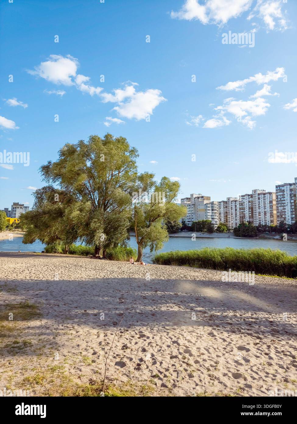 Kyiv, Ukraine - Jun 27, 2025: A sandy beach on Sonyachne Lake with a large tree in the foreground and numerous high-rise residential buildings across - Smartphone Captured Stock Image