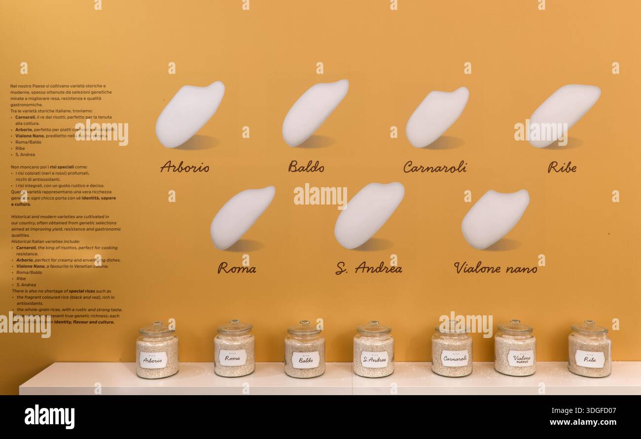 Educational display of traditional Italian rice varieties including ...