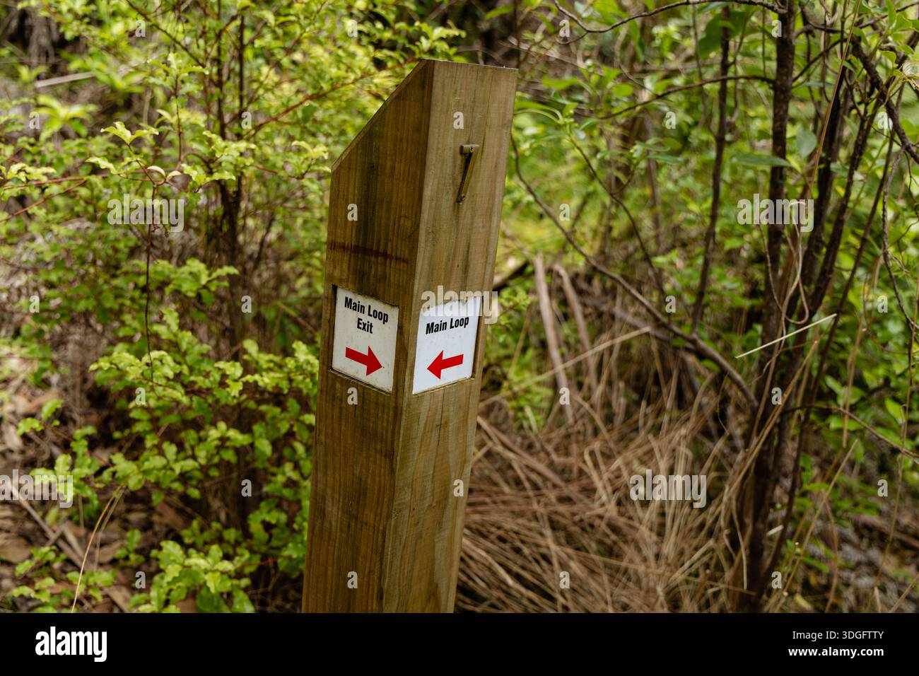 Main hiking trail hi-res stock photography and images - Alamy
